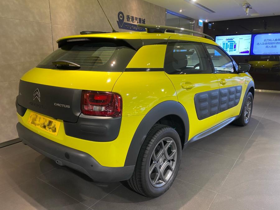 C4 CACTUS - Image 2
